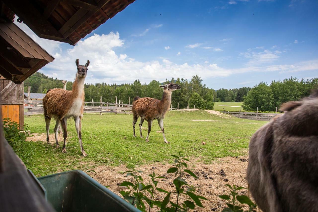 Resort Malevil Jablonné v Podještědí Exteriör bild